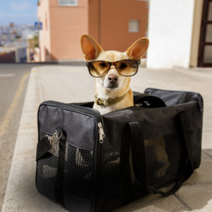 Pet Airline Travel Carrier Bag