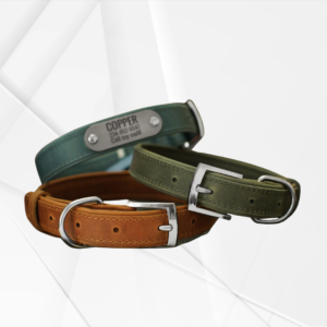 Vitange Leather Dog Collar with Custom Tag