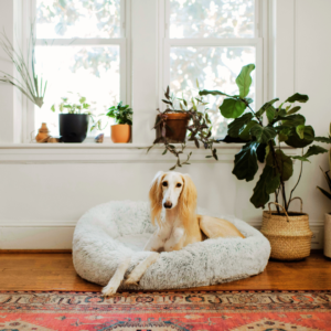 Calming Donut Dog Bed